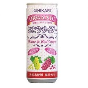 光食品 ぶどうサイダー+レモン
